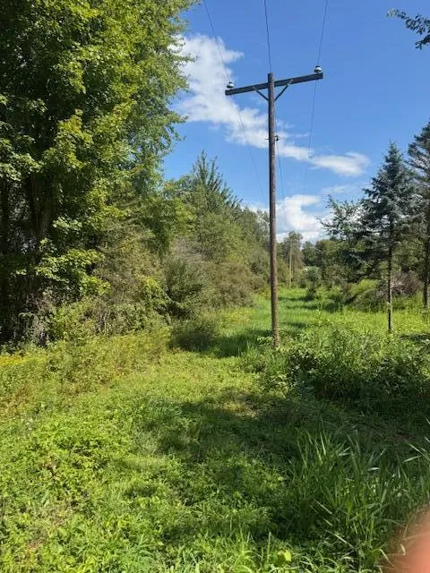 Maple Grove Hastings, MI 49058