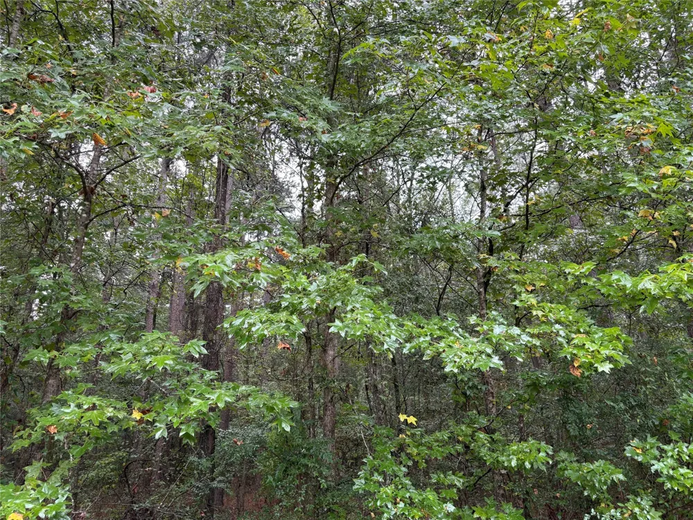 Fox Skin Drive Haughton, LA 71037