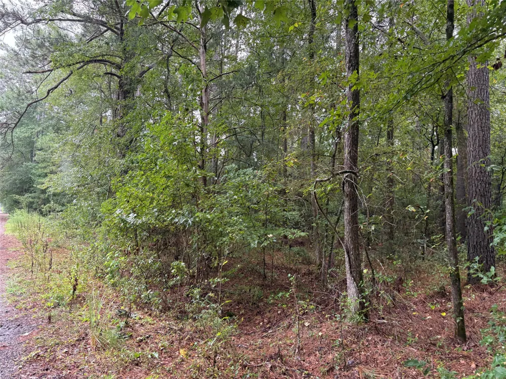 Fox Skin Drive Haughton, LA 71037