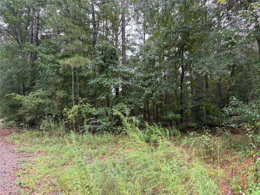 Fox Skin Drive Haughton, LA 71037