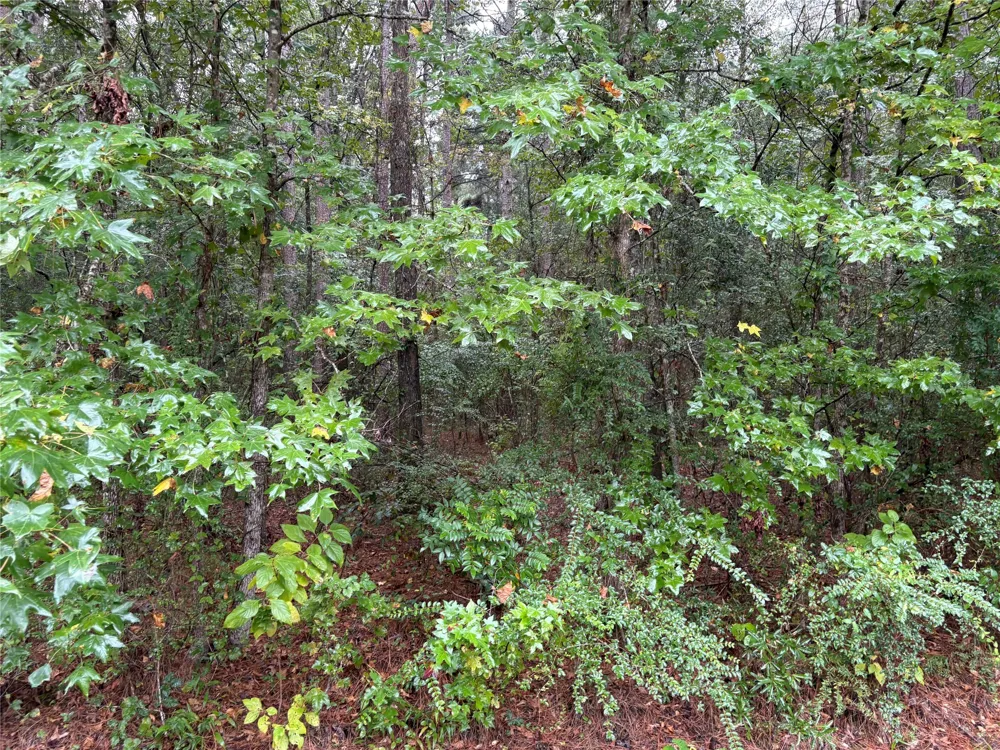 Fox Skin Drive Haughton, LA 71037