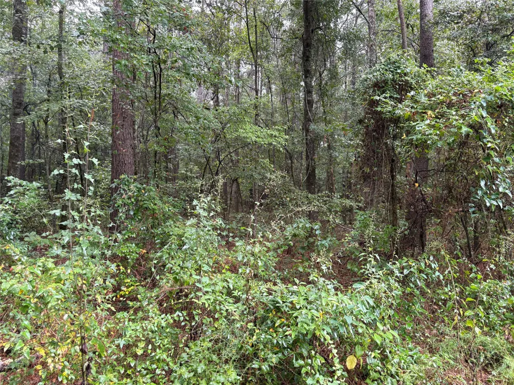Fox Skin Drive Haughton, LA 71037