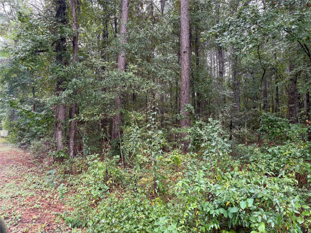 Fox Skin Drive Haughton, LA 71037