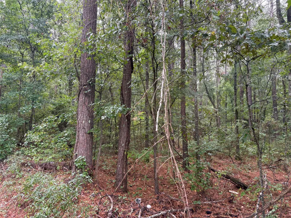 Fox Skin Drive Haughton, LA 71037