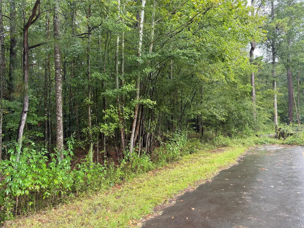 Fox Skin Drive Haughton, LA 71037