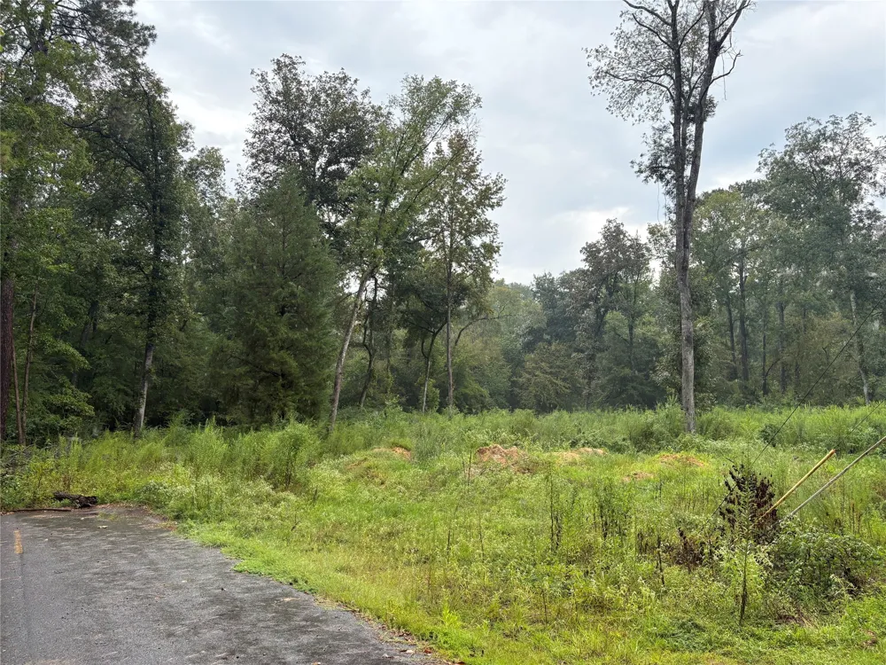 Fox Skin Drive Haughton, LA 71037