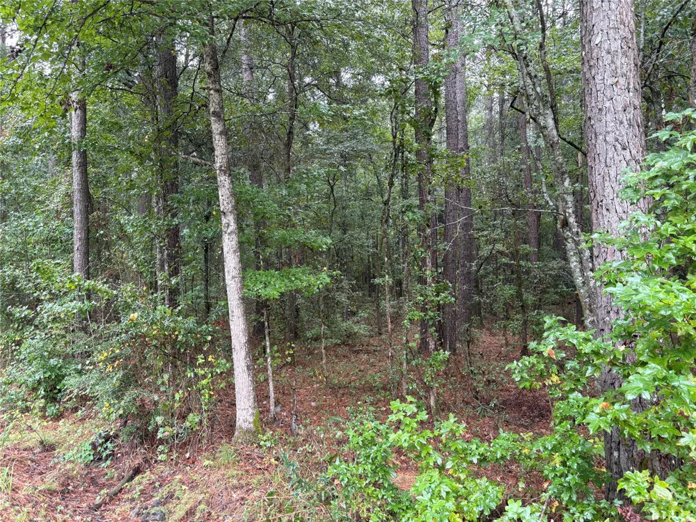 Fox Skin Drive Haughton, LA 71037