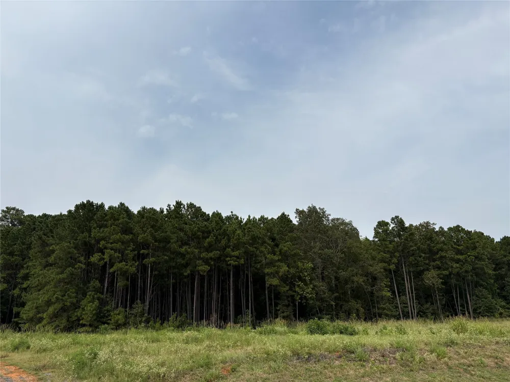 Fox Skin Drive Haughton, LA 71037
