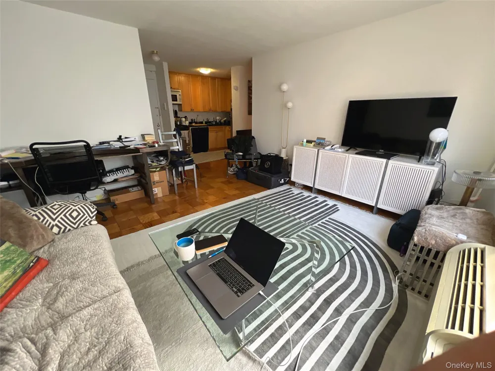 333 E 45th Street #17F New York (Manhattan), NY 10017