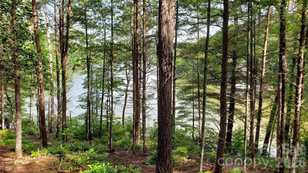 2254 Anchor Lane #110 Connelly Springs, NC 28612