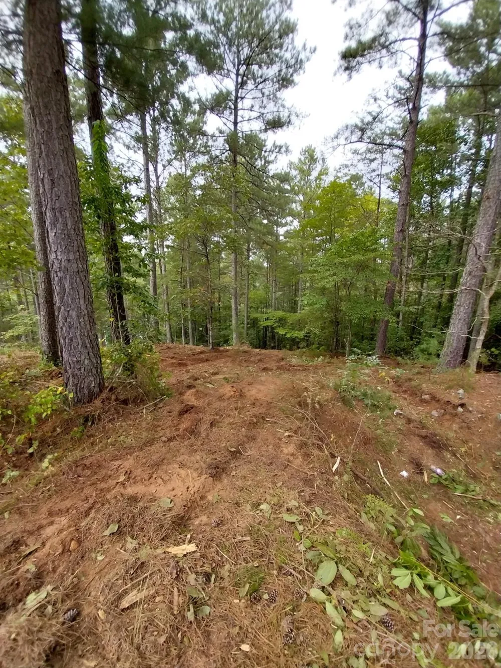 2254 Anchor Lane #110 Connelly Springs, NC 28612