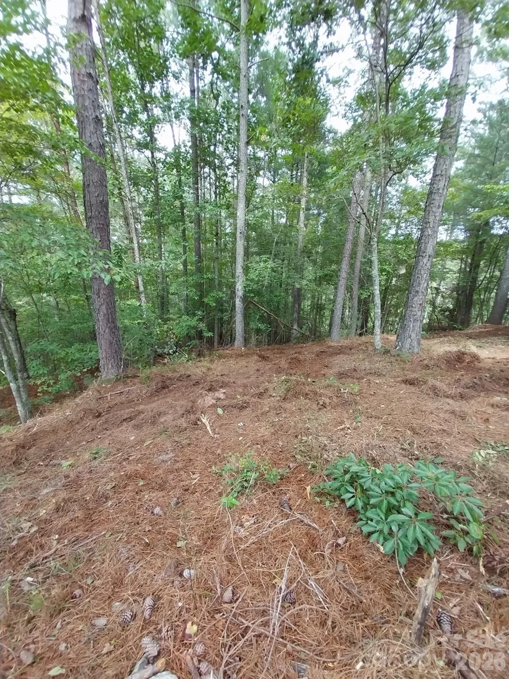 2254 Anchor Lane #110 Connelly Springs, NC 28612