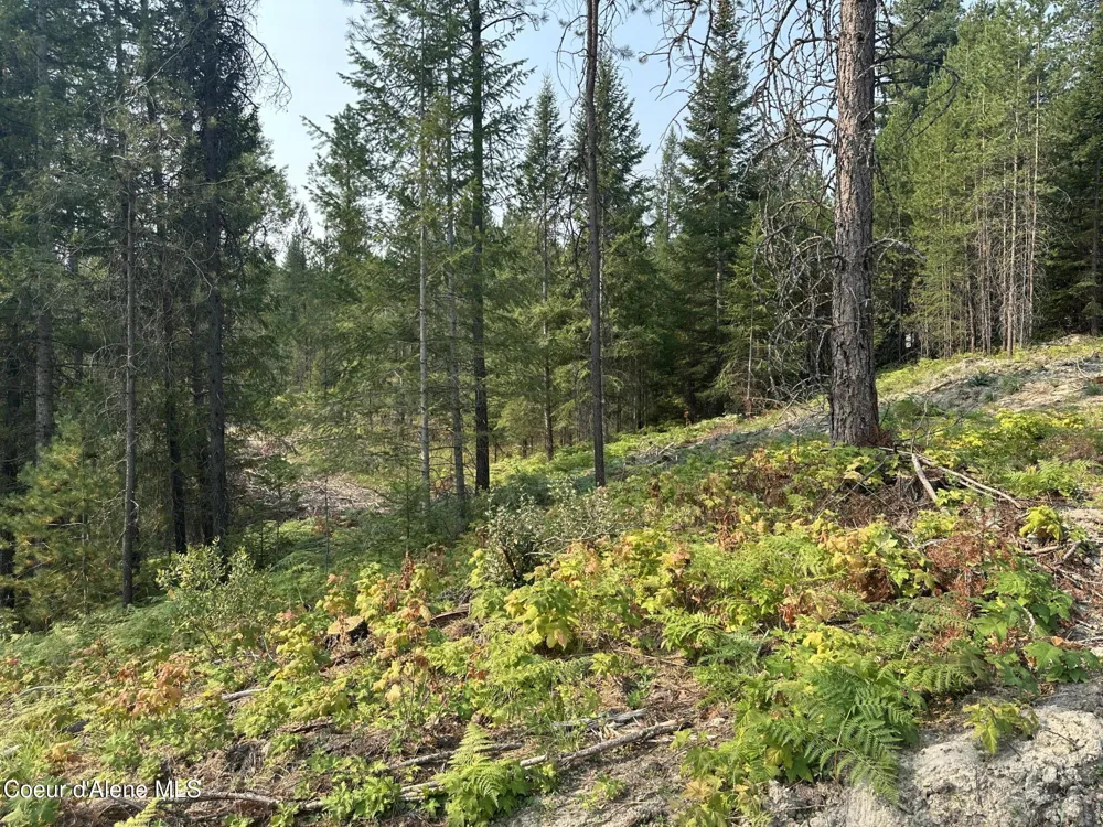 NNA Peninsula Loop Road Priest River, ID 83856