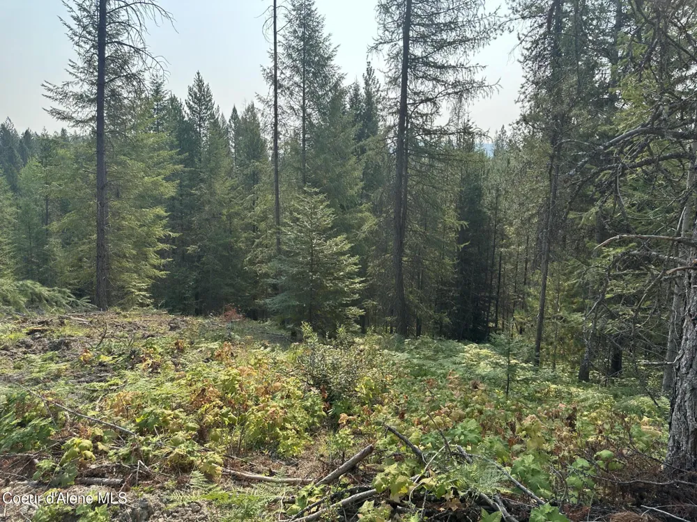 NNA Peninsula Loop Road Priest River, ID 83856