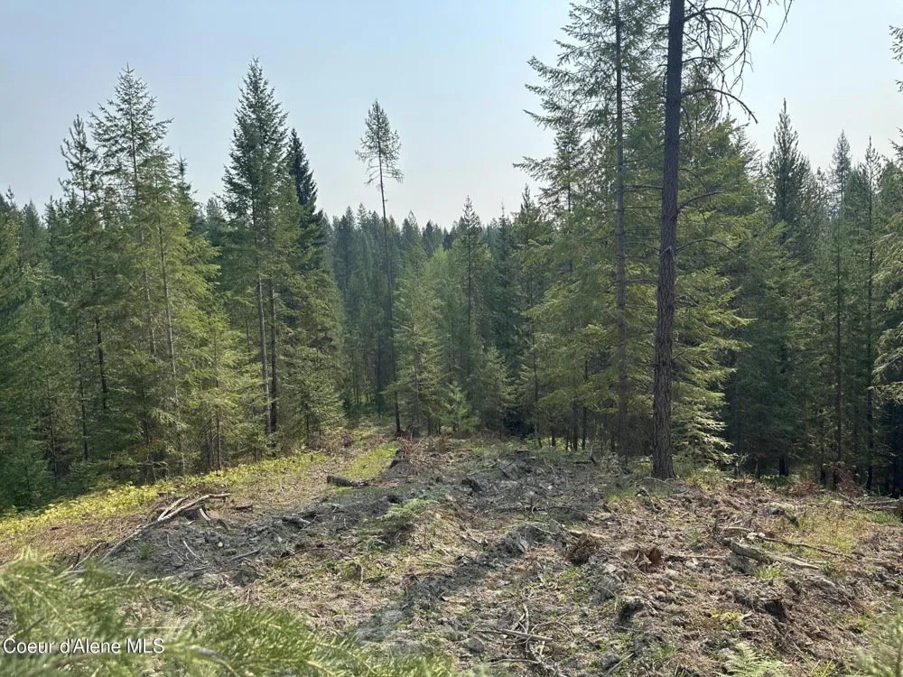 NNA Peninsula Loop Road Priest River, ID 83856