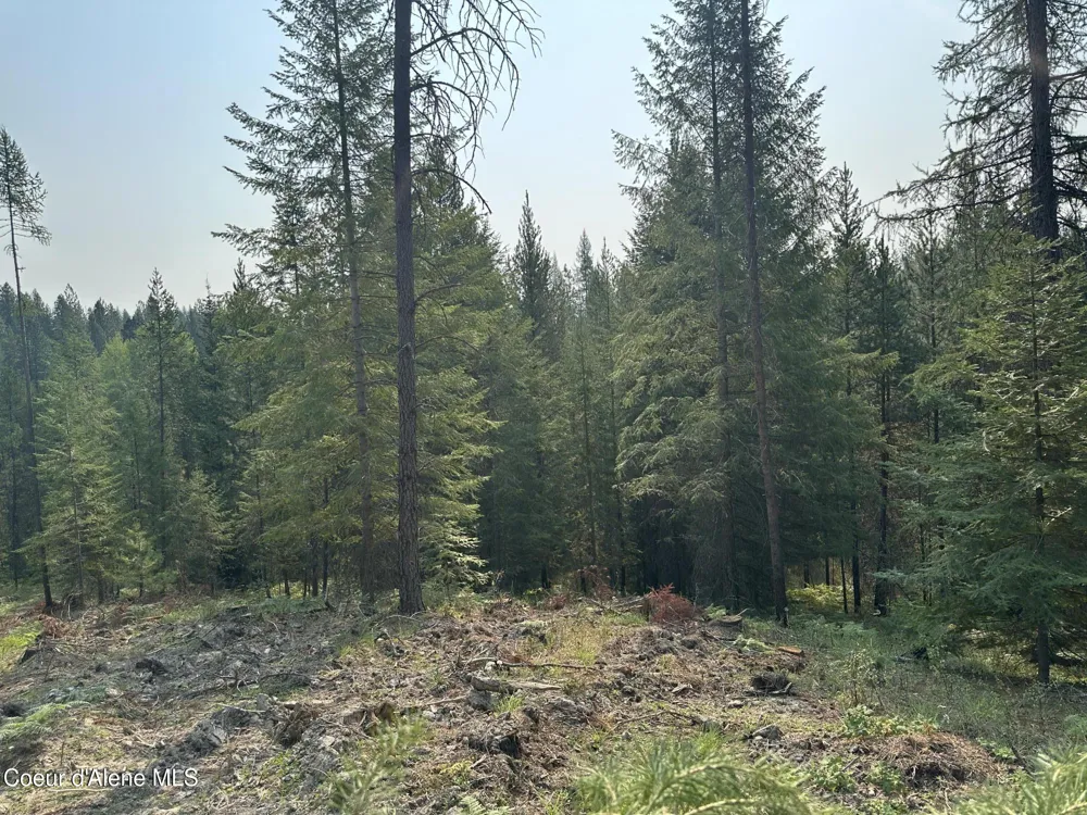 NNA Peninsula Loop Road Priest River, ID 83856
