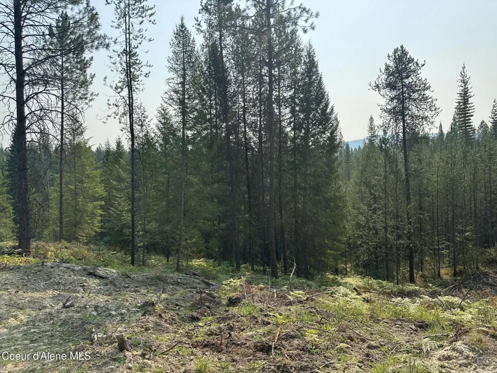 NNA Peninsula Loop Road Priest River, ID 83856