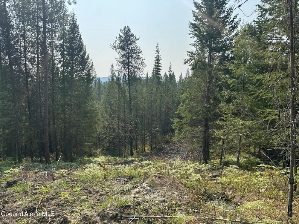 NNA Peninsula Loop Road Priest River, ID 83856