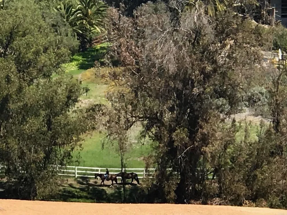 5470 La Crescenta Rancho Santa Fe, CA 92067