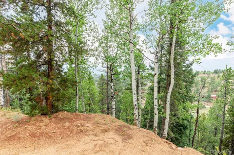 427 Wise Road