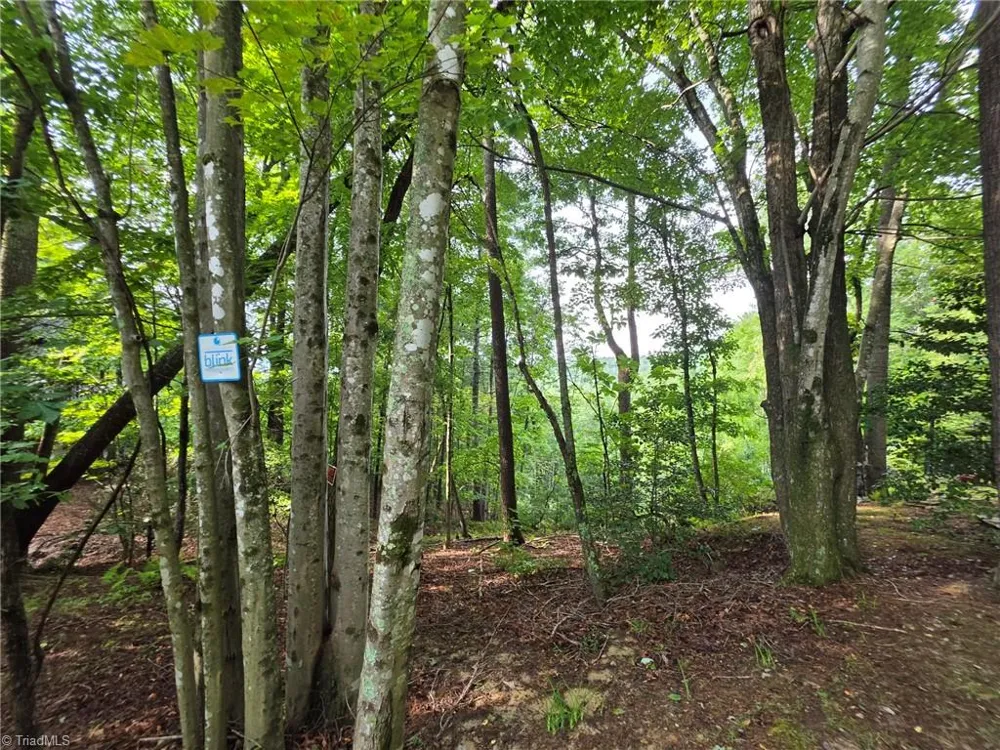582 Deer Crossing Lane Lenoir, NC 28645