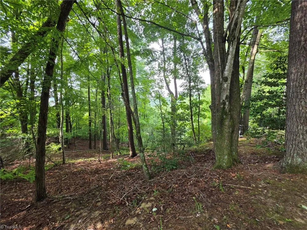 582 Deer Crossing Lane Lenoir, NC 28645