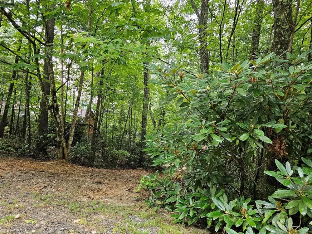 582 Deer Crossing Lane Lenoir, NC 28645