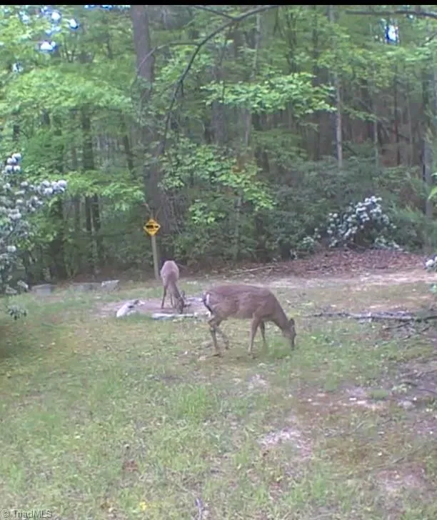 582 Deer Crossing Lane Lenoir, NC 28645