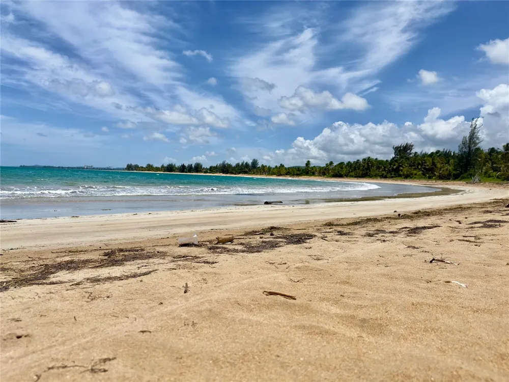 968 CAMINO LAS PICUAS 1 Rio Grande, PR 00745