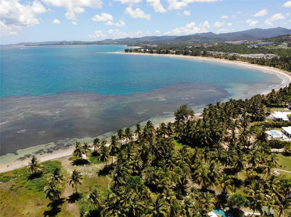 968 CAMINO LAS PICUAS 1 Rio Grande, PR 00745