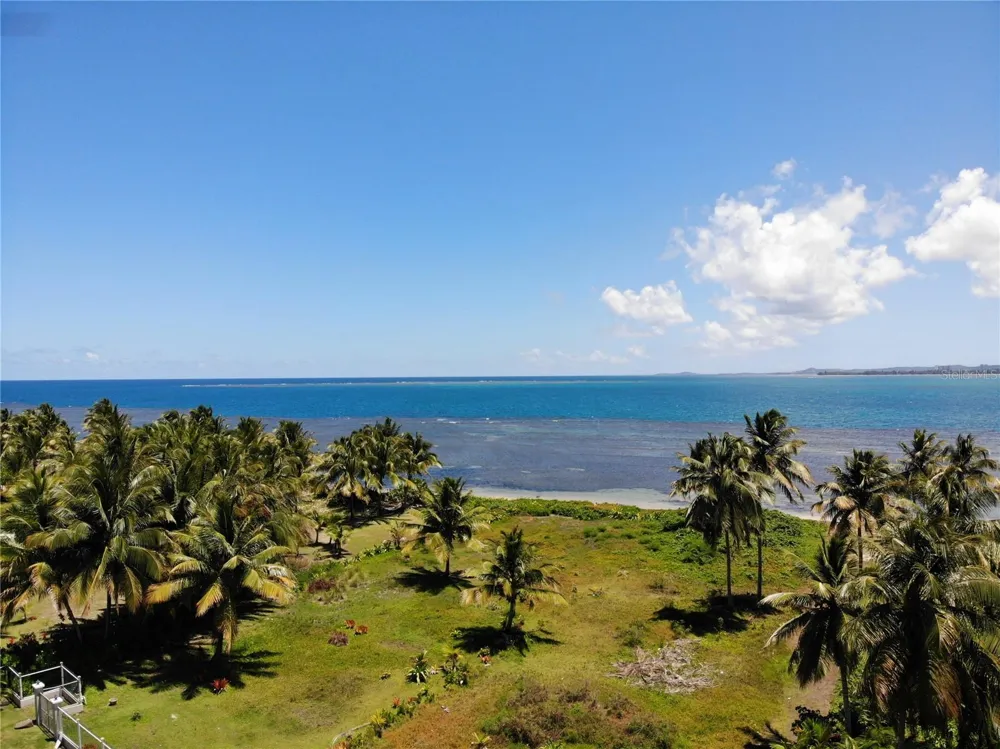 968 CAMINO LAS PICUAS 1 Rio Grande, PR 00745