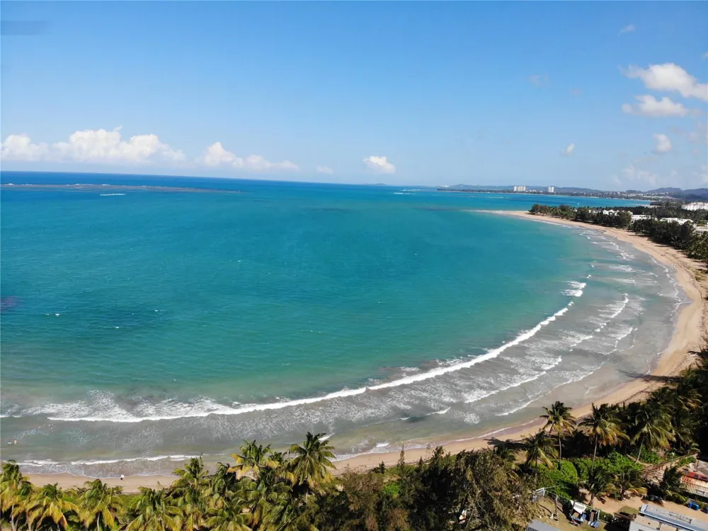 968 CAMINO LAS PICUAS 1 Rio Grande, PR 00745