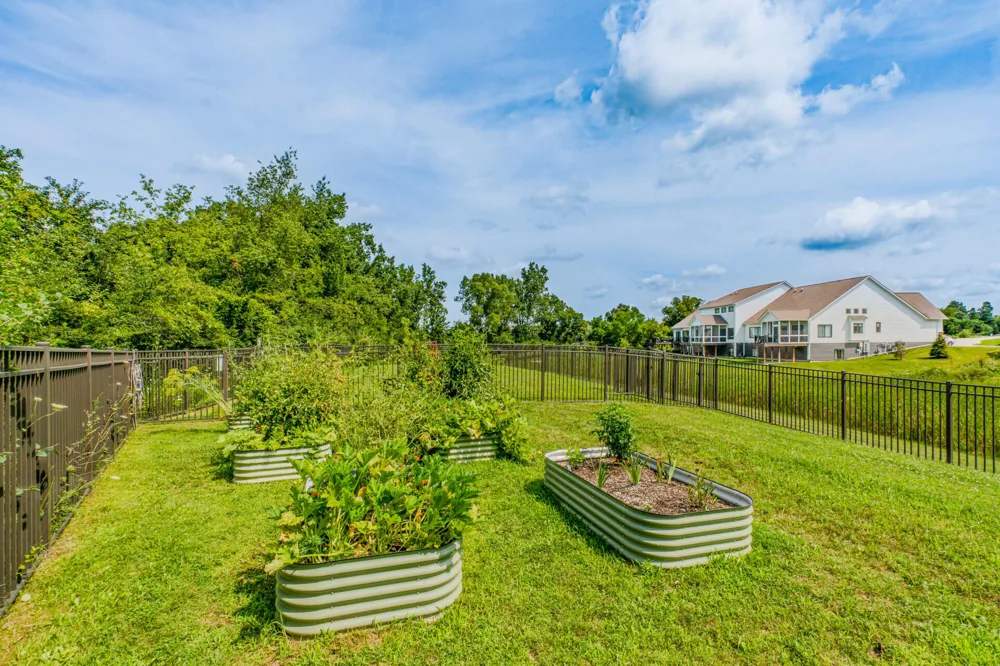 7142 Black Cherry Lane Saline, MI 48176