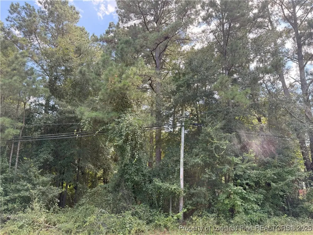 3 E Williams Street Autryville, NC 28318