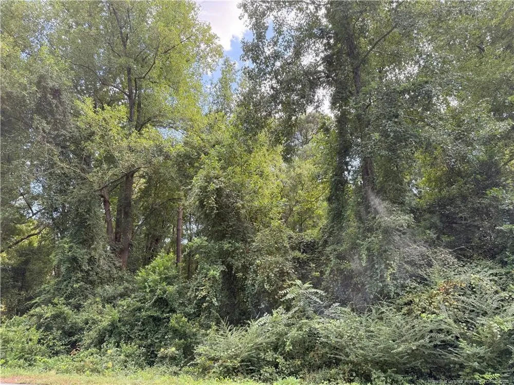 Lot 3 E Williams Street Autryville, NC 28318