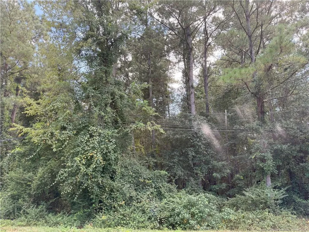 Lot 2 E Williams Street Autryville, NC 28318