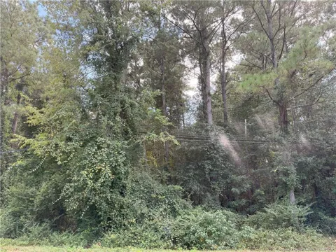 Lot 2 E Williams Street