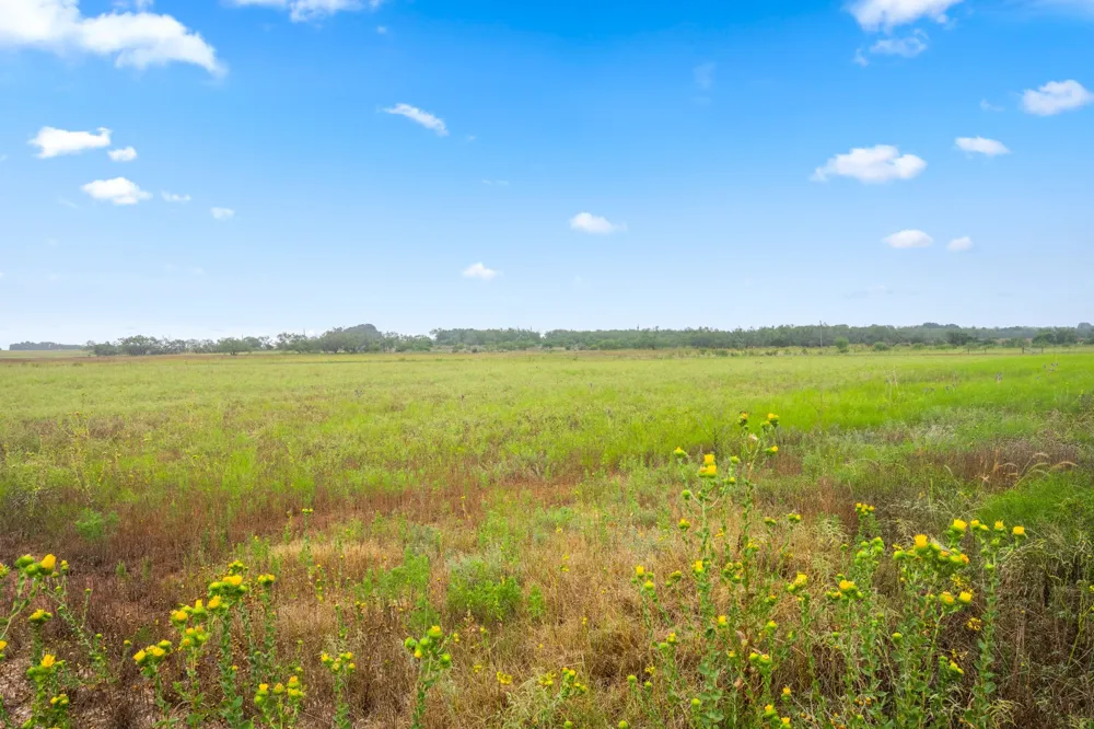 7756 County Road 241 Clyde, TX 79510