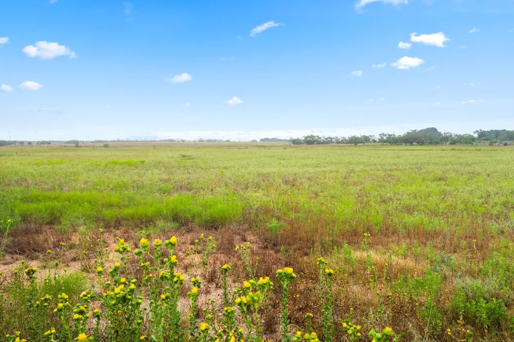 7756 County Road 241 Clyde, TX 79510
