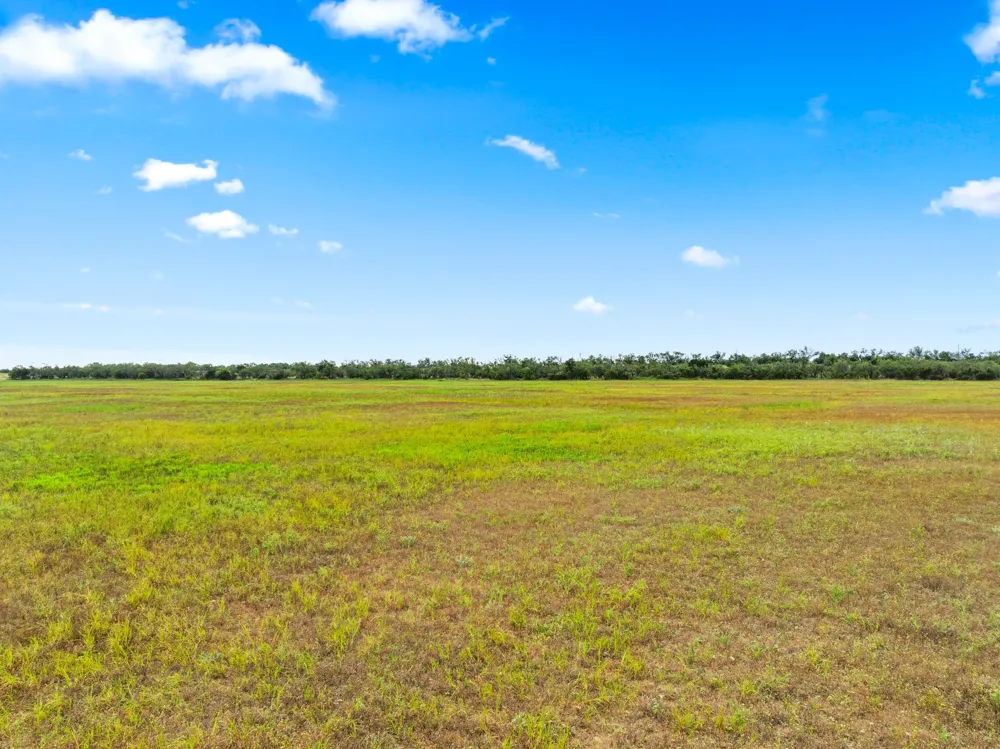 7756 County Road 241 Clyde, TX 79510