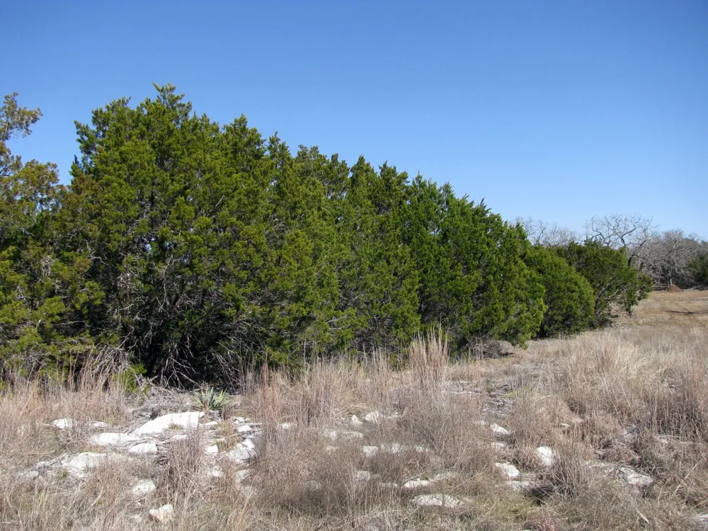 Private Road 42103 Evant, TX 76525
