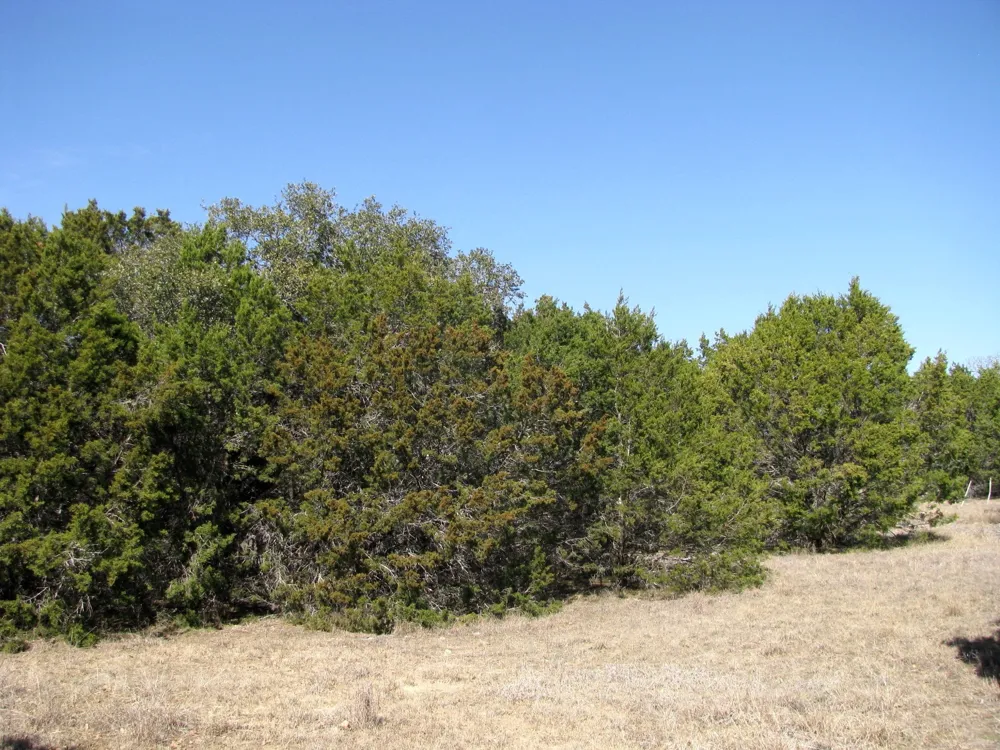 Private Road 42103 Evant, TX 76525