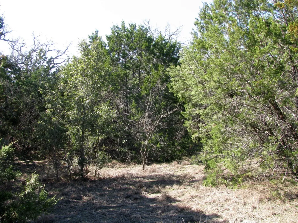 Private Road 42103 Evant, TX 76525