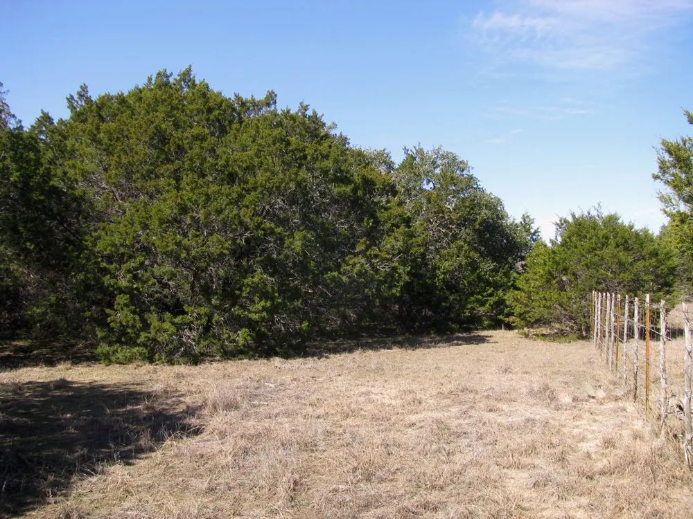 Private Road 42103 Evant, TX 76525