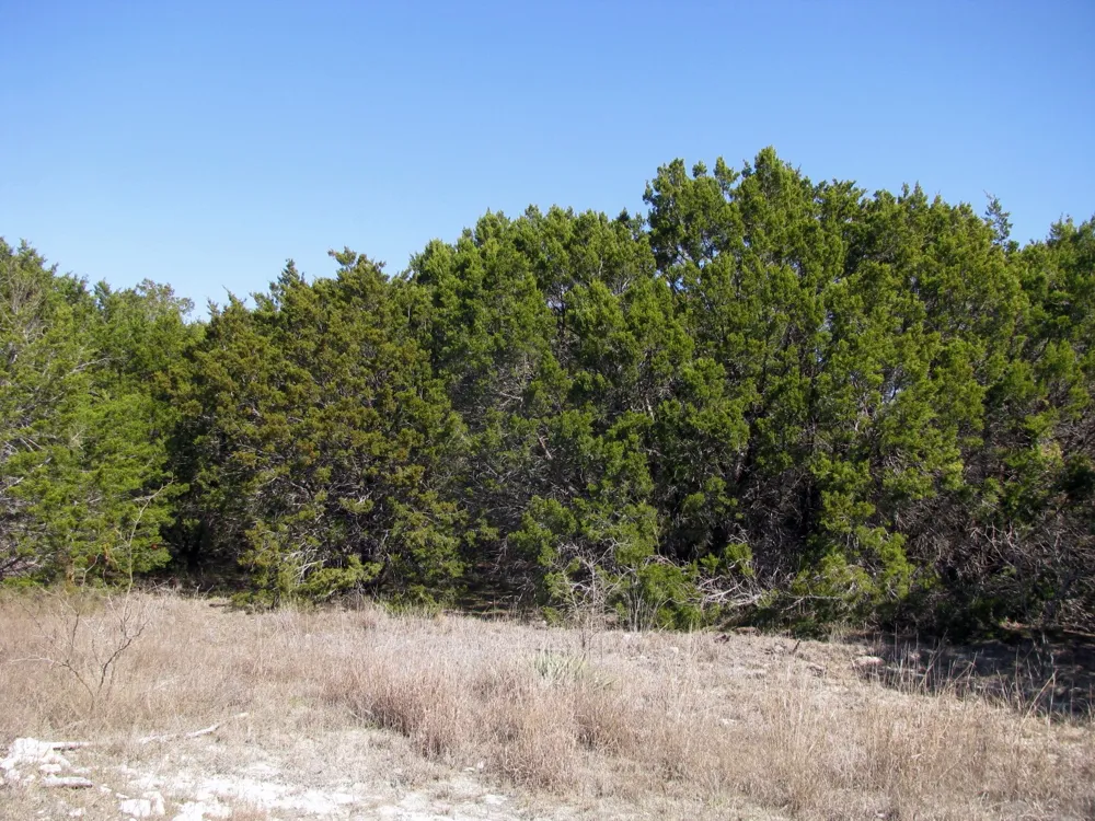 Private Road 42103 Evant, TX 76525