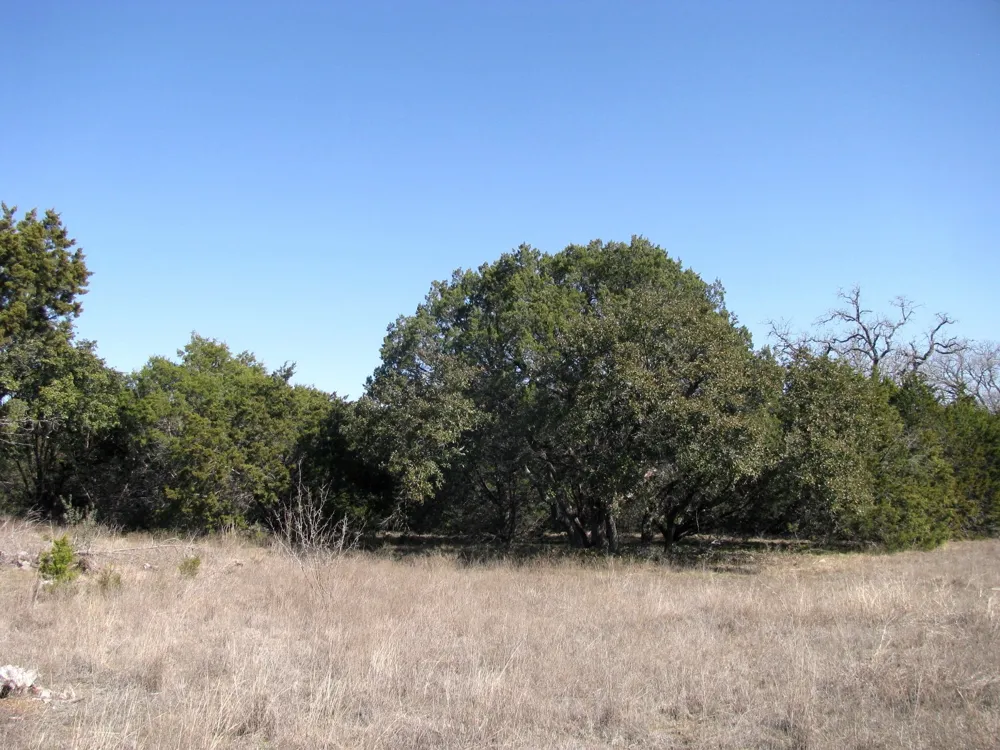 Private Road 42103 Evant, TX 76525