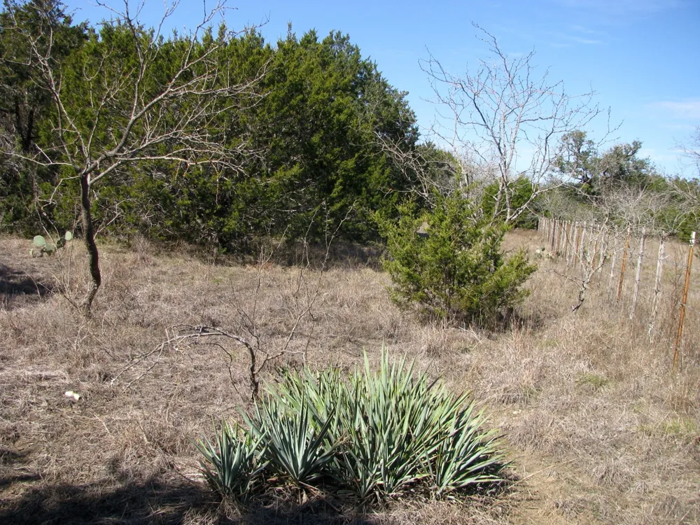 Private Road 42103 Evant, TX 76525