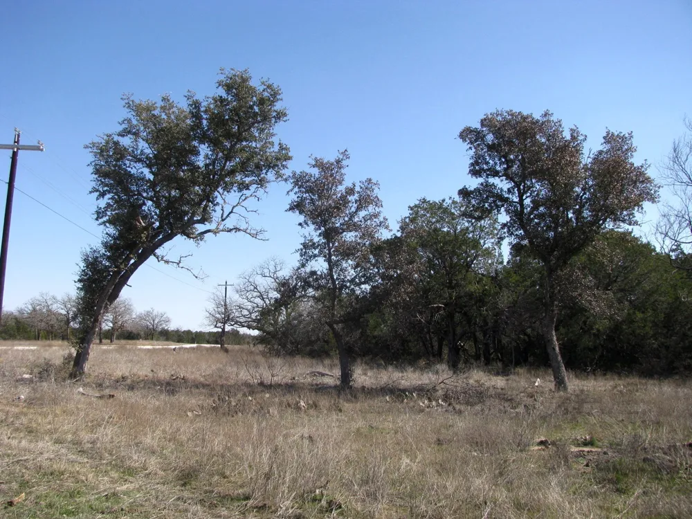 Private Road 42103 Evant, TX 76525