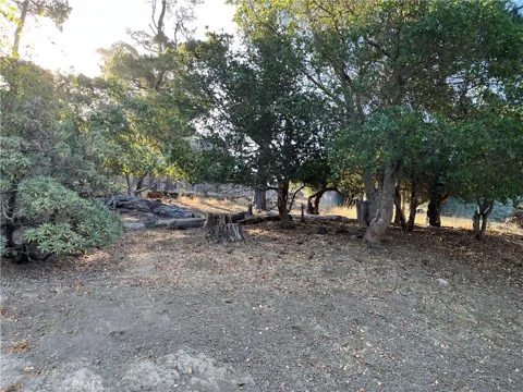 1670 Burton Drive