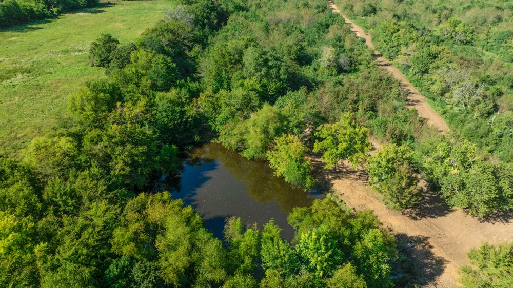 FR 194 Blossom, TX 75416